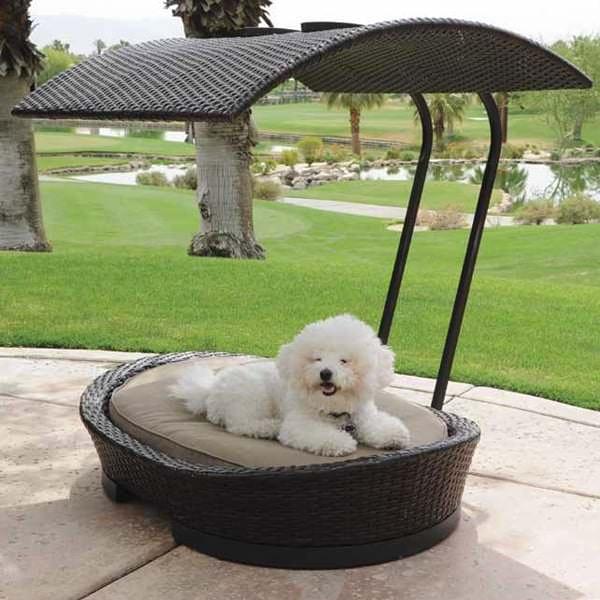 Stylish Wicker Dog or Cat Bed With Removable Sun Shade